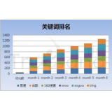 安丘如何防止SEO关键词排名下降